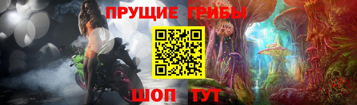 Псилоцибиновые грибы MAGIC MUSHROOMS  Вход с VPN  Камышлов 